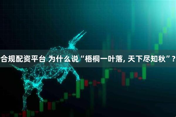 合规配资平台 为什么说“梧桐一叶落, 天下尽知秋”?