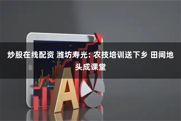 炒股在线配资 潍坊寿光: 农技培训送下乡 田间地头成课堂